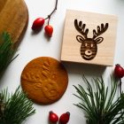Rudolf a rénszarvas - Karácsonyi mézeskalács sütipecsét