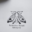 Könyvmoly - Ex libris pecsét